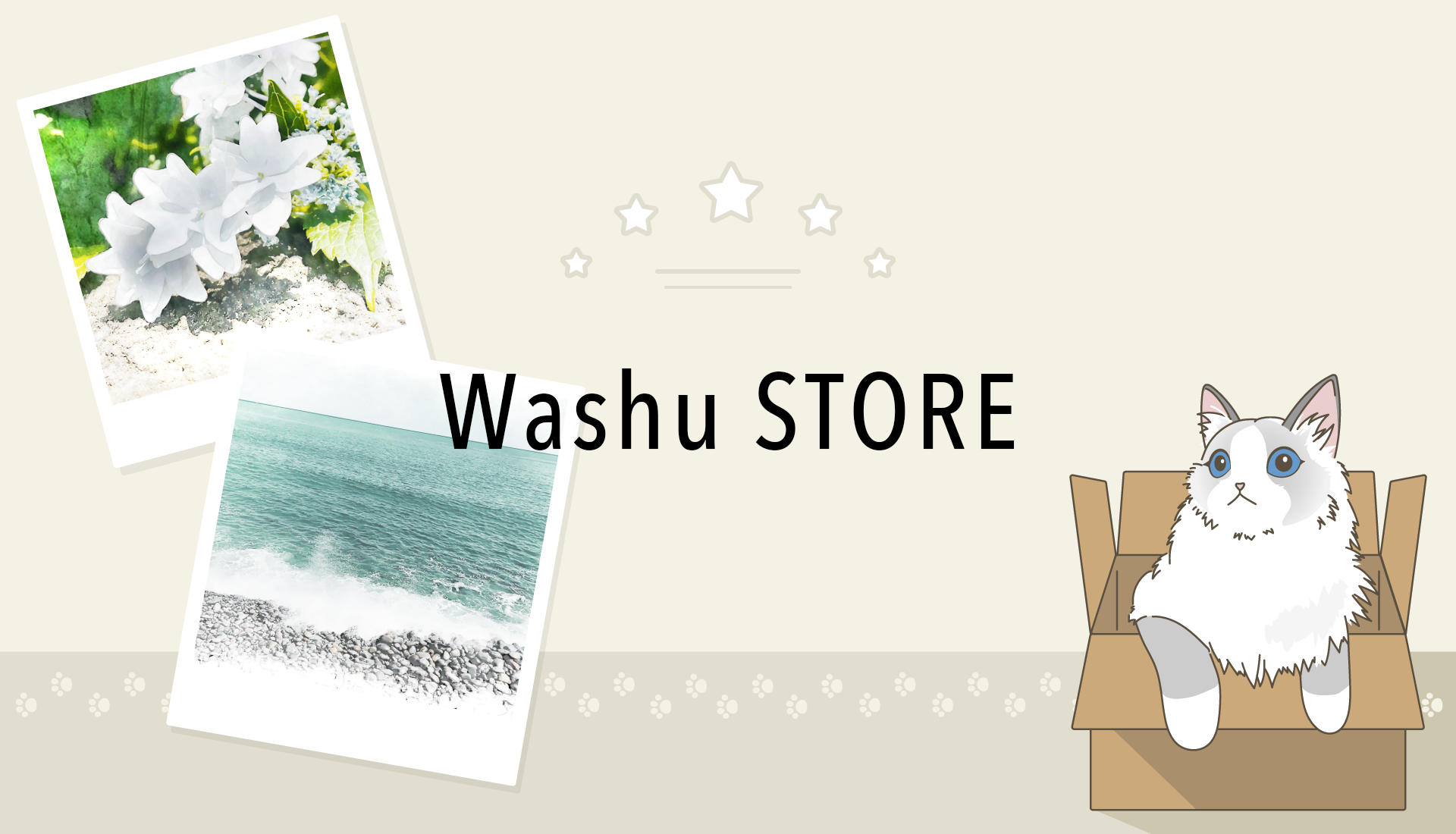 Washu Store